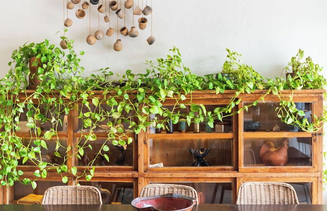 Casa Lulú - Foto 55