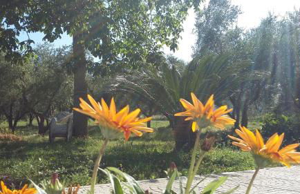 Agriturismo Santa Maria - Foto 51