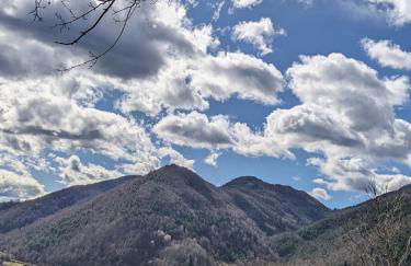 La caseta de Mas Salelles - Photo 21