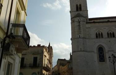 Le camelie - Foto 36