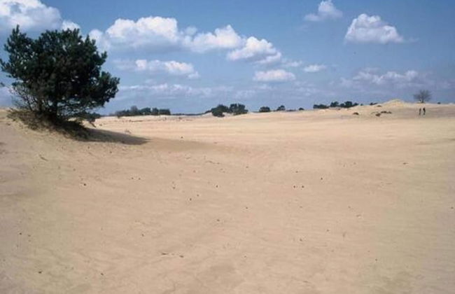 Unique Holiday Home in Noordwolde With Garden - Foto 33