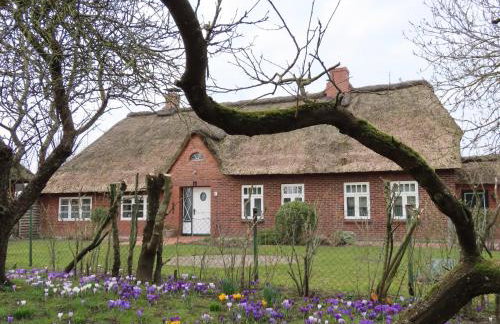 Ferienhaus Zur Alten Post 1 - Foto 10