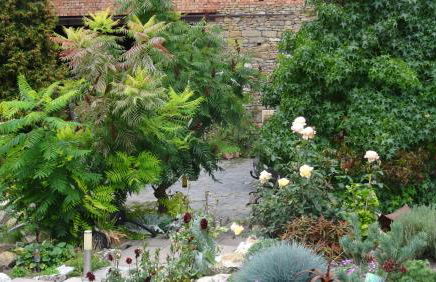 Pension & Gästehaus Paffrath - Foto 19