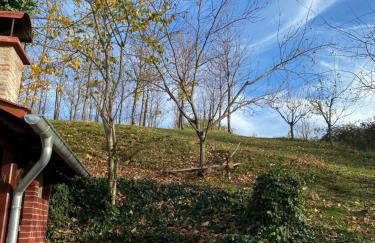 Šalatin jarek - Foto 38