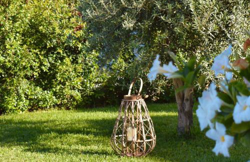 Nacàri Home - Foto 30