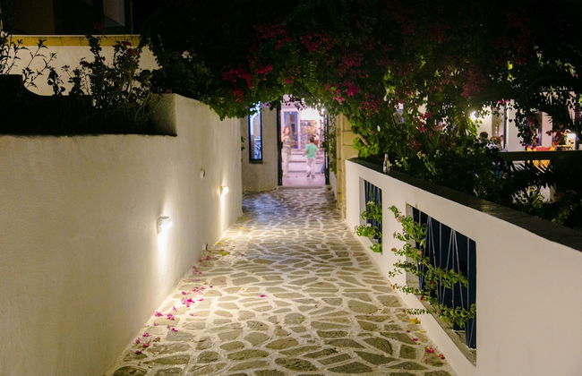 Ekaterini Hotel - Foto 44