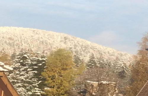 Ferienhaus mit Wellnessbereich in Elend - Foto 34