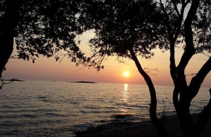 Apartment Maestral - Photo 46