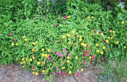 Asprovalta Beach Apartment - Foto 34