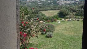 Dependance Pavoncella - Foto 2