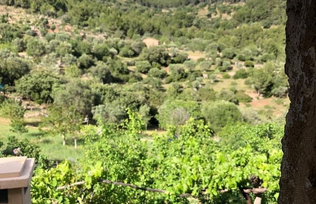 Can Pe es in Puerto de Andratx - Foto 30