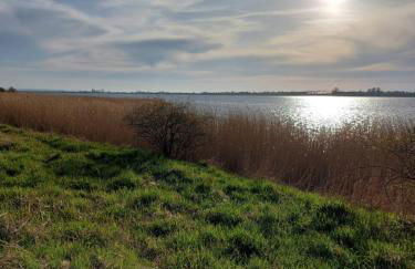 FeWo Friedrichsdorf - Foto 18