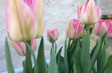 Exceptional retreat near Cornwall Coast - Photo 25