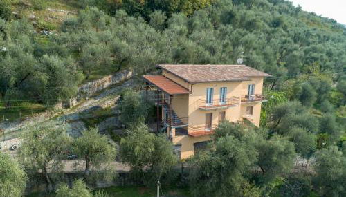 Madonna Dell'Aiuto True View Olivo - Foto 5