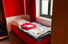 Ostseefewo Mönch Re - Foto 6