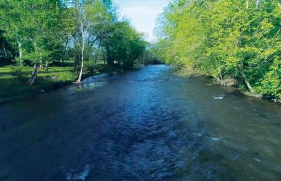 Whimsical Gatehouse at Dark Horse Estate - Foto 18