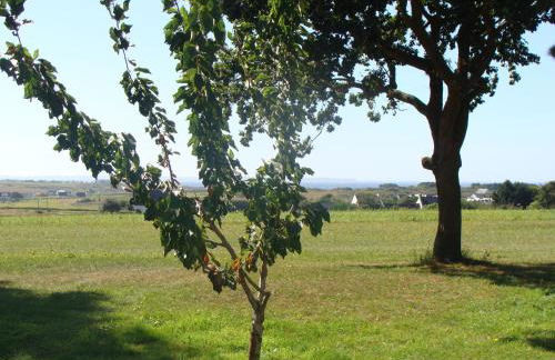 Les Logis de Kerdrien - Foto 40