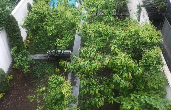 Nice Villa & Pool City Center - Foto 22