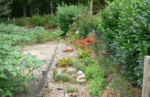 Ferienhaus Zum grünen Holz - Foto 18