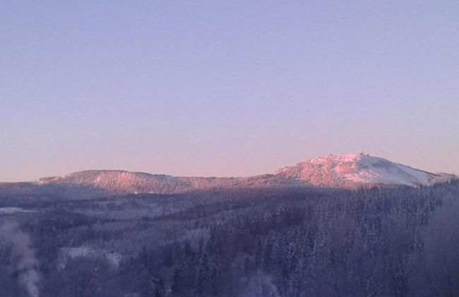 Cozy Forest Adventure Stay - Foto 42