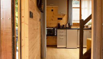 Ο κισσός - Foto 5