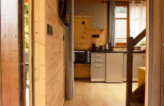 Ο κισσός - Foto 5