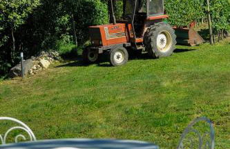 Agriturismo Olistico Atman - Foto 46