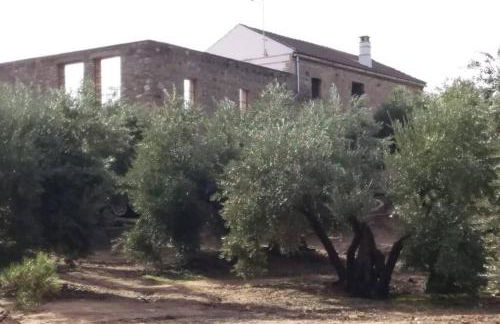 Viña Las Olivas - Foto 9