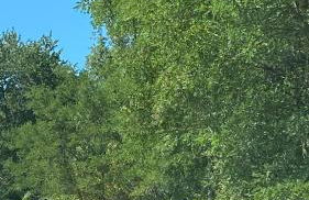 Agriturismo Il Casone - Photo 45