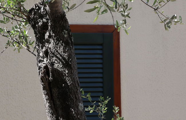 Parco Vacanze Lo Scoglio - Foto 62