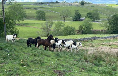 The Green Hayloft, Lakes & Dales - Photo 32