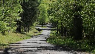 Ferienwohnung Mühlweg - Foto 5