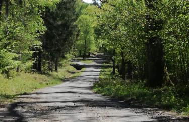 Ferienwohnung Mühlweg - Foto 5