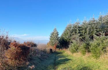 Tranquil Watermill - Foto 15