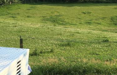 Hoheluft am Wittensee Apt 3 - Foto 15