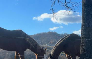 Agriturismo Prato del Re - Photo 63