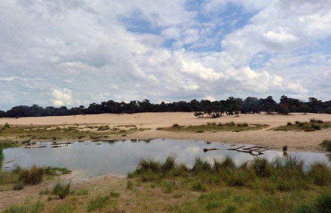 Chalet in Netherlands With Pool & Playground - Foto 39