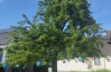 Casa Filada - Ferienort für Alle - Foto 8