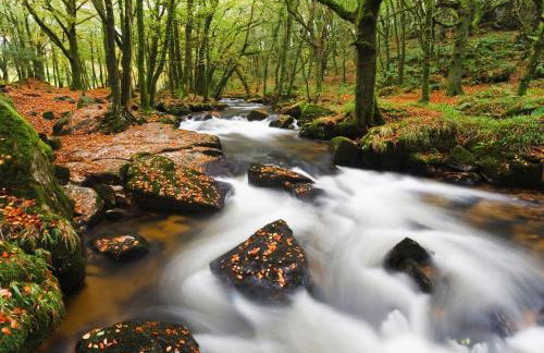 The Granary - Foto 20