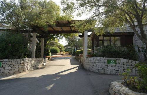 La tartaruga - Photo 38