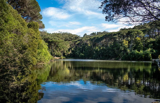 SINTRA Tagesausflug - Tickets & Mittagessen inklusive - Foto 17