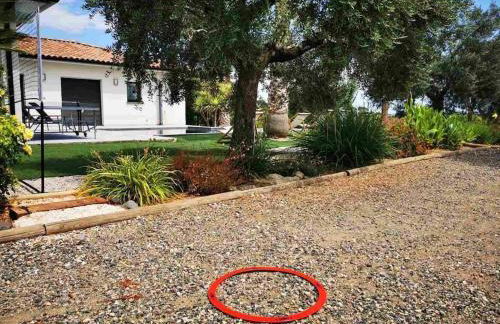 Villa contemporaine avec piscine à débordement dans un domaine viticole - Foto 30