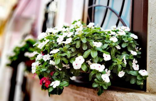 Trendy Sweet Home - Foto 55