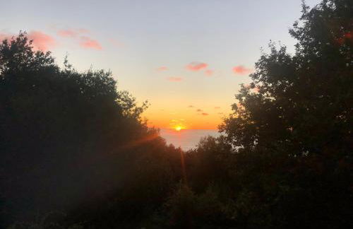 Apartamentos Mar y Mar Agroturismo - Foto 44