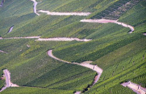 Fewo Spiaggia - Gästehaus Kön - Foto 25