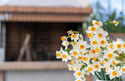 La SiMa Residence - Foto 31