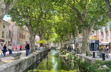 Gîte passiflore - Foto 36