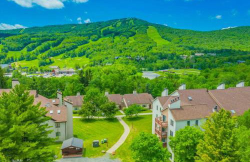 17A Mountain Village #241 - Foto 46