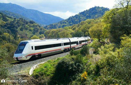 Casa Isabel - Photo 41