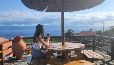 Lucy's Rosegarden - Photo 5